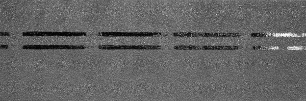 Коньково-карнизная черепица Docke Premium, черника купить в Шуе