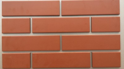 Фасадная Термопанели Аляска Rot Glatt